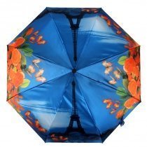 Зонты женские, Евросоюз